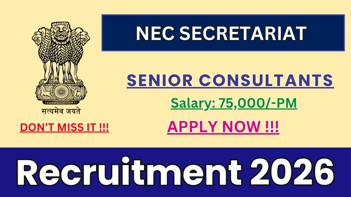 NEC Secretariat Senior Consultants Recruitment 2026